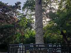 -北陵公园