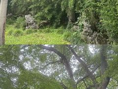 -山塘街