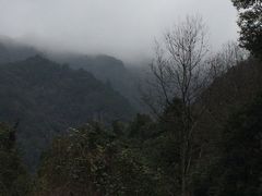 -华溪森林公园-售票处