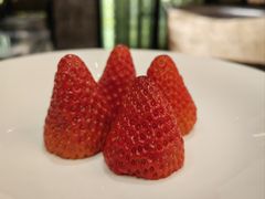 -北京四季酒店·采逸轩