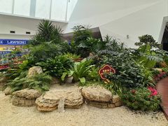 -广州白云国际机场-T2航站楼