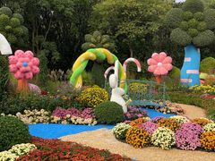 -上海共青森林公园