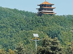 -中原大佛景区