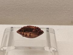 -杭州工艺美术博物馆