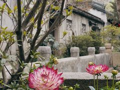 -惠山古镇·寄畅园