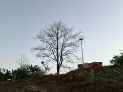 -罗坑大草原