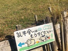 -神户市立六甲山牧场