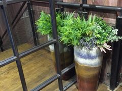 -毛家饭店(澳德乐店)
