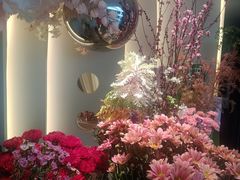 -晶雅花园西餐厅(南京首店)