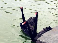 iphone_upload_pic-上海怡沁园度假酒店