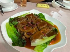 -东鸽皇(奥园·中环广场店)
