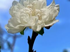 -桃花涧