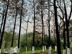 -西溪国家湿地公园