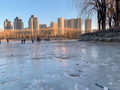 -东坝千亩湖公园