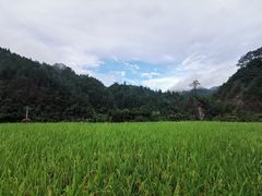 -郎德苗寨景区