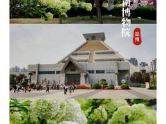 -河南博物院