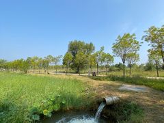 -野鸭湖国家湿地公园