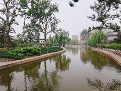 -团结湖公园