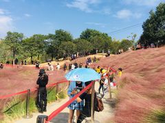 -牛岗山公园