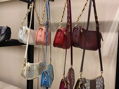 -COACH蔻驰(恒隆广场店)