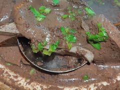 -鹅滋道(甘坑古镇店)