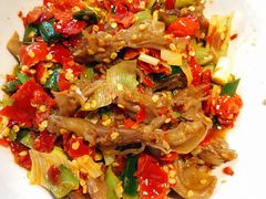 鸭掌筋-壹盏灯(惠农店)