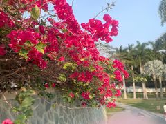 -石梅湾艾美度假酒店