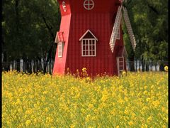 -北京东方普罗旺斯薰衣草庄园