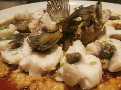 -甄御•海鲜新青岛菜(麦岛店)