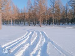 -塞罕坝国家级自然保护区