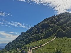 -白草畔自然风景区