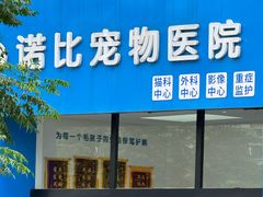 -诺比宠物医院心脏内科·泌尿肾内外科·骨科急重症