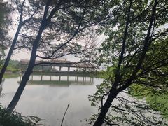 -铁山坪森林公园