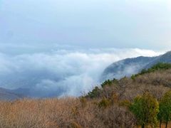 -阳台山自然风景区