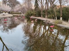 -桃花堤公园