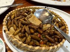 -顺德了能馆(虎门店)