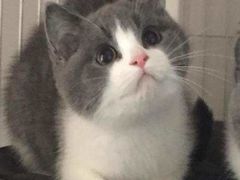 -刘胖子家常菜·蹄花焖藕(兴业店)