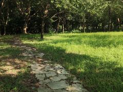 -长洲岛