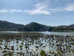 -顺峰山公园