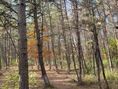 -帽儿山国家森林公园