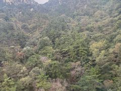 -沂蒙山旅游区云蒙景区(蒙山国家森林公园)