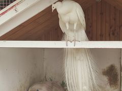 -金庭庄园酒店-停车场