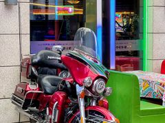 -Famous肥猫墨西哥音乐餐吧(五棵松华熙LIVE店)