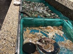 -初色海鲜自助(万丰路店)