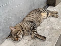-正阳书局(西四南大街店)