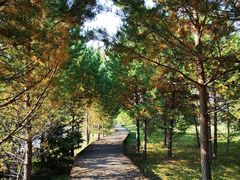 -北极村旅游风景区