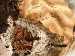 黑虎皮奥利奥奶油卷-纯坊佳哥手作(江汉路店)