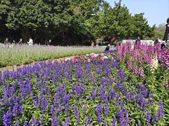 -龙环葡韵住宅式博物馆