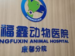 -宠福鑫康馨动物医院·骨科·眼科