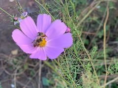 -韩国利尔面包(桂林路店)